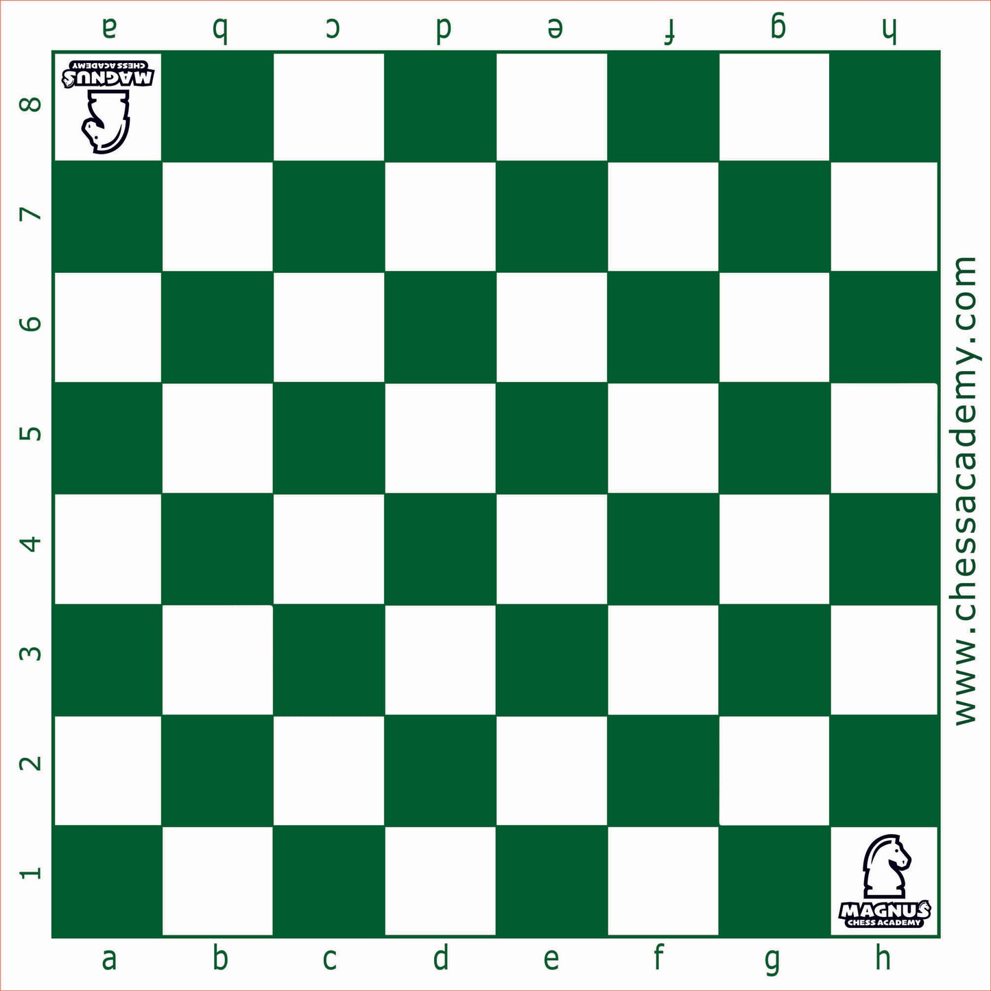 magnus academy chess board