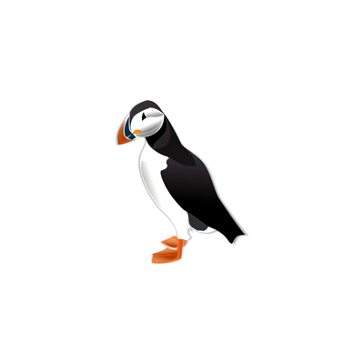 Meet the Puffins