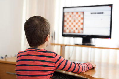 How Do Online Group Chess Lessons Work?