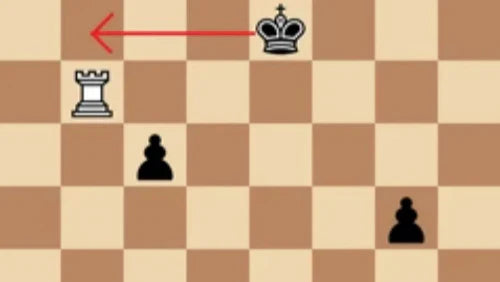 Chess Basics: Winning a Won Endgame