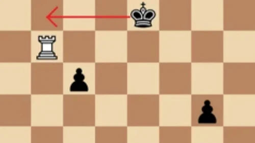 Chess Basics: Winning a Won Endgame