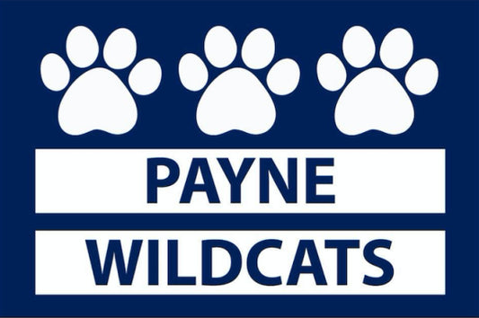 Payne Elementary School Chess Club Fall 2025
