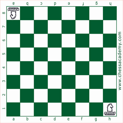 magnus academy chess board